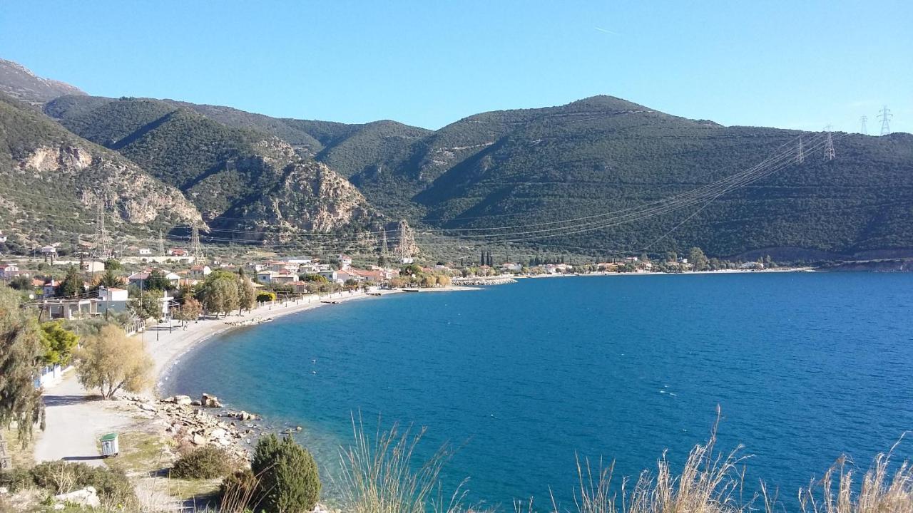 Margherita'S Holidays Home Agios Spyridon (Phocis) Exterior foto