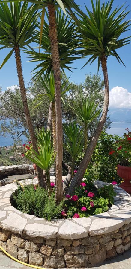 Margherita'S Holidays Home Agios Spyridon (Phocis) Exterior foto